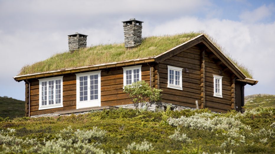 hytte med gresstak