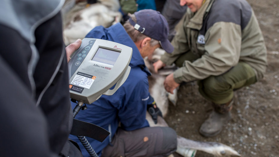 radioaktivitetstesting