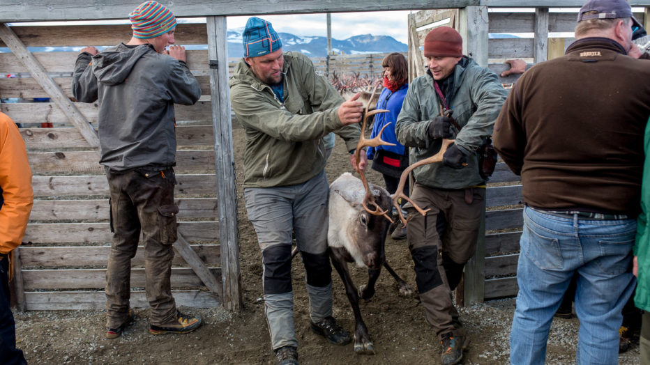 Utvalgt til radioaktivitet