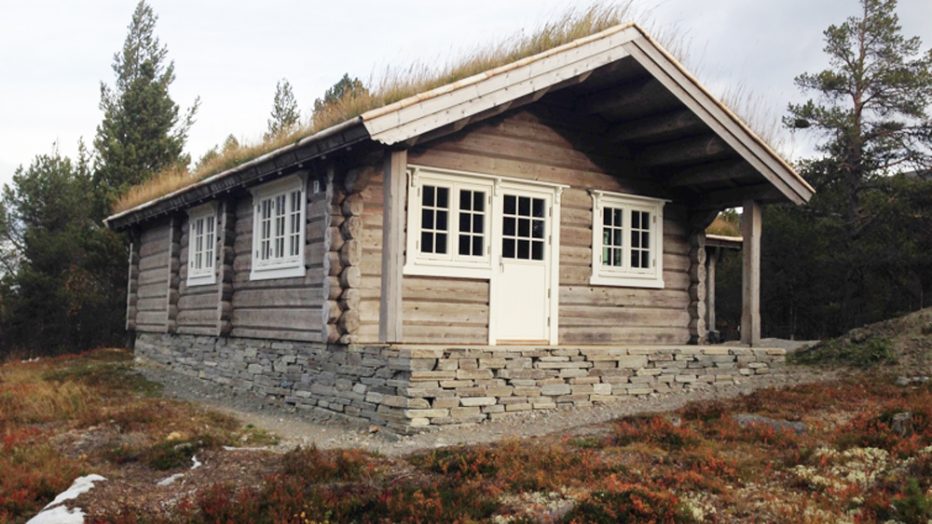 hytte med gresstak