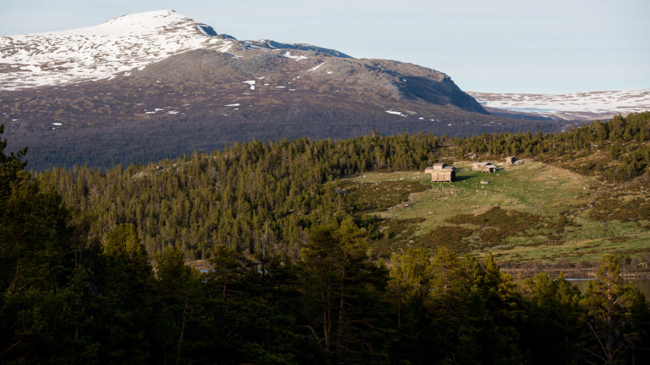 Seter i Sjodalen.