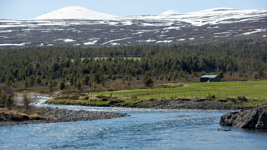 elv, skog og fjell