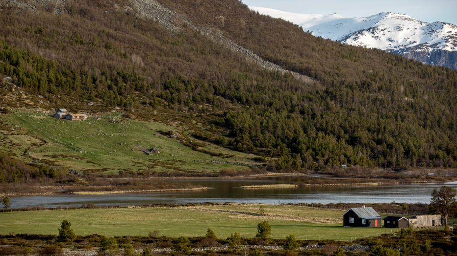 sæter i fjellsiden
