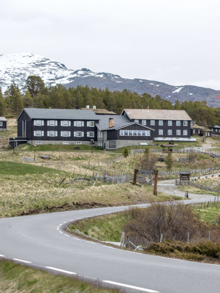Hindeseter med fjell bak